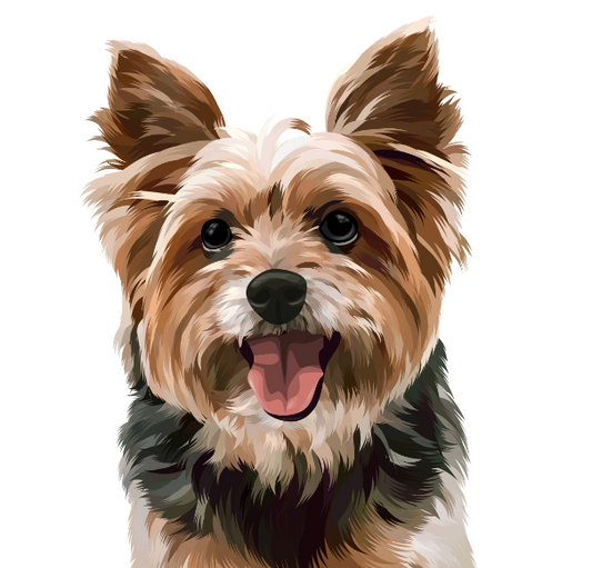 Realistic Pet portrait